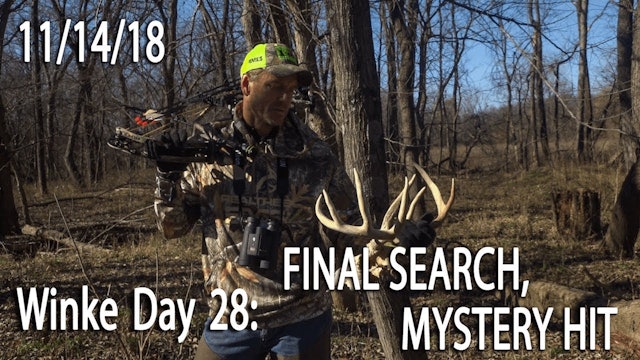 Winke Day 28: Final Search, Mystery Hit