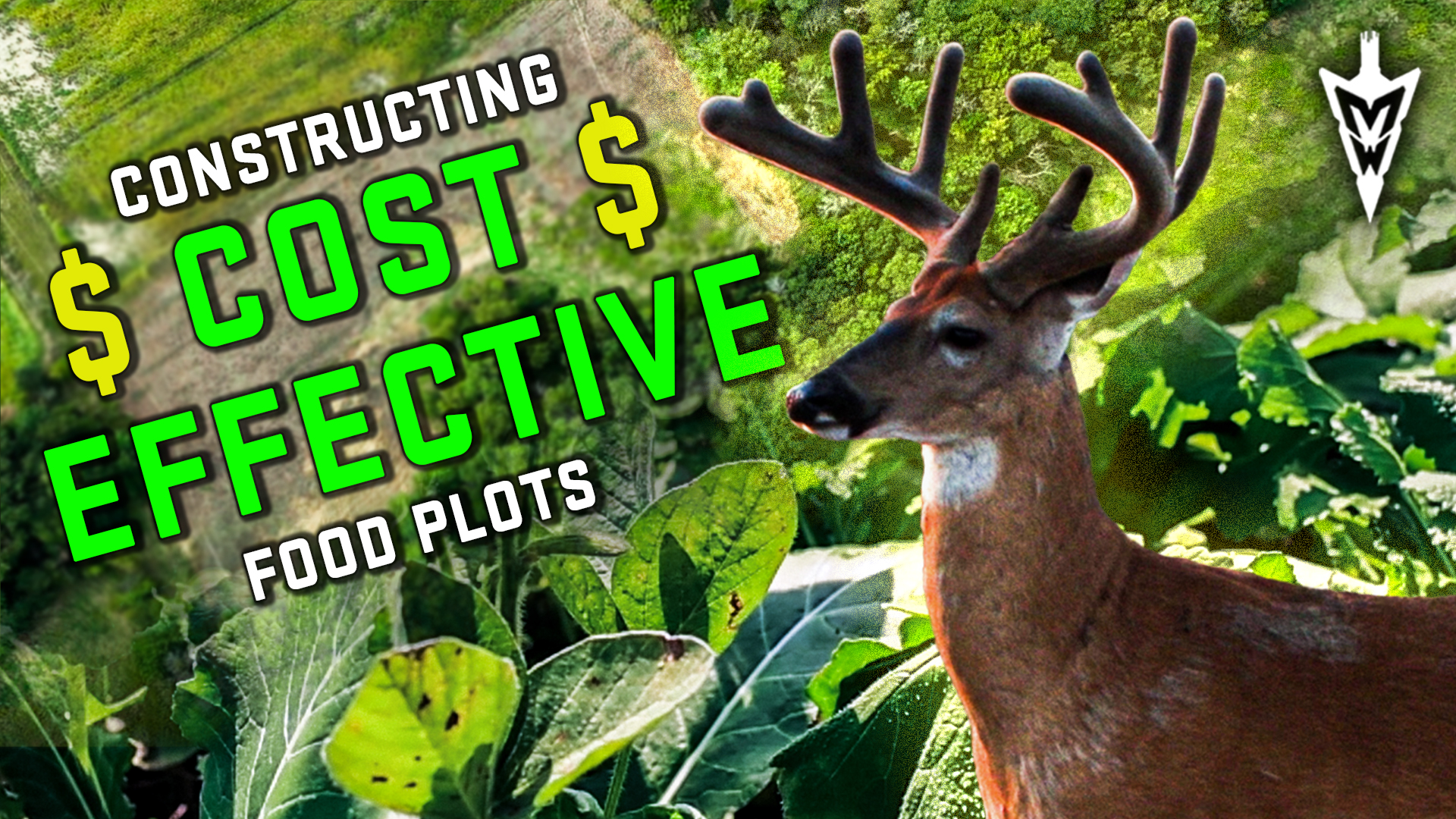 Maximizing $$$ Budget For Hunting Food Plots, What To Plant & Why
