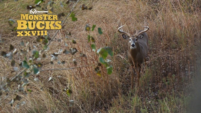 Grant Taylor's Giant Kansas Buck | Realtree's Monster Bucks