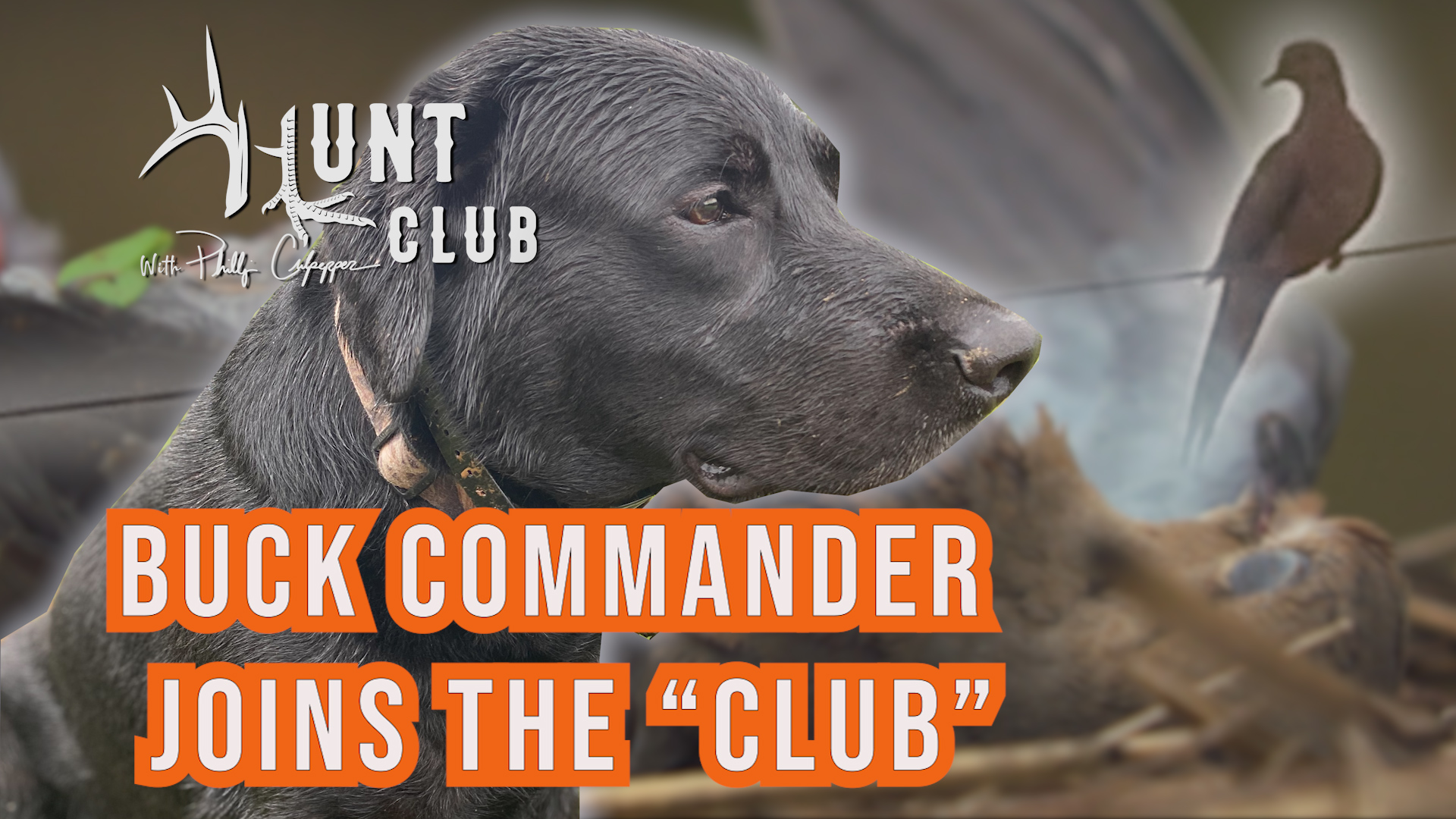 Buck Commander Turned Dove Destroyer | Dove Hunter Drops Power Line | Hunt Club