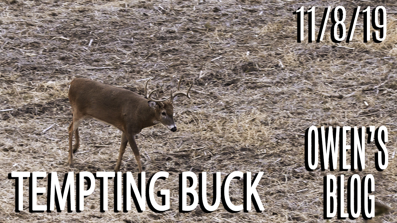 Owen's Blog | Close Call With Tempting Buck