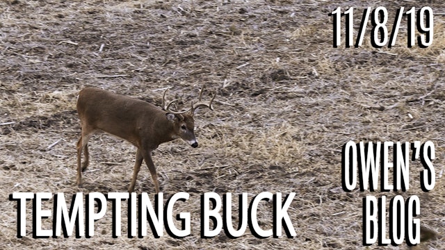 Owen's Blog | Close Call With Tempting Buck