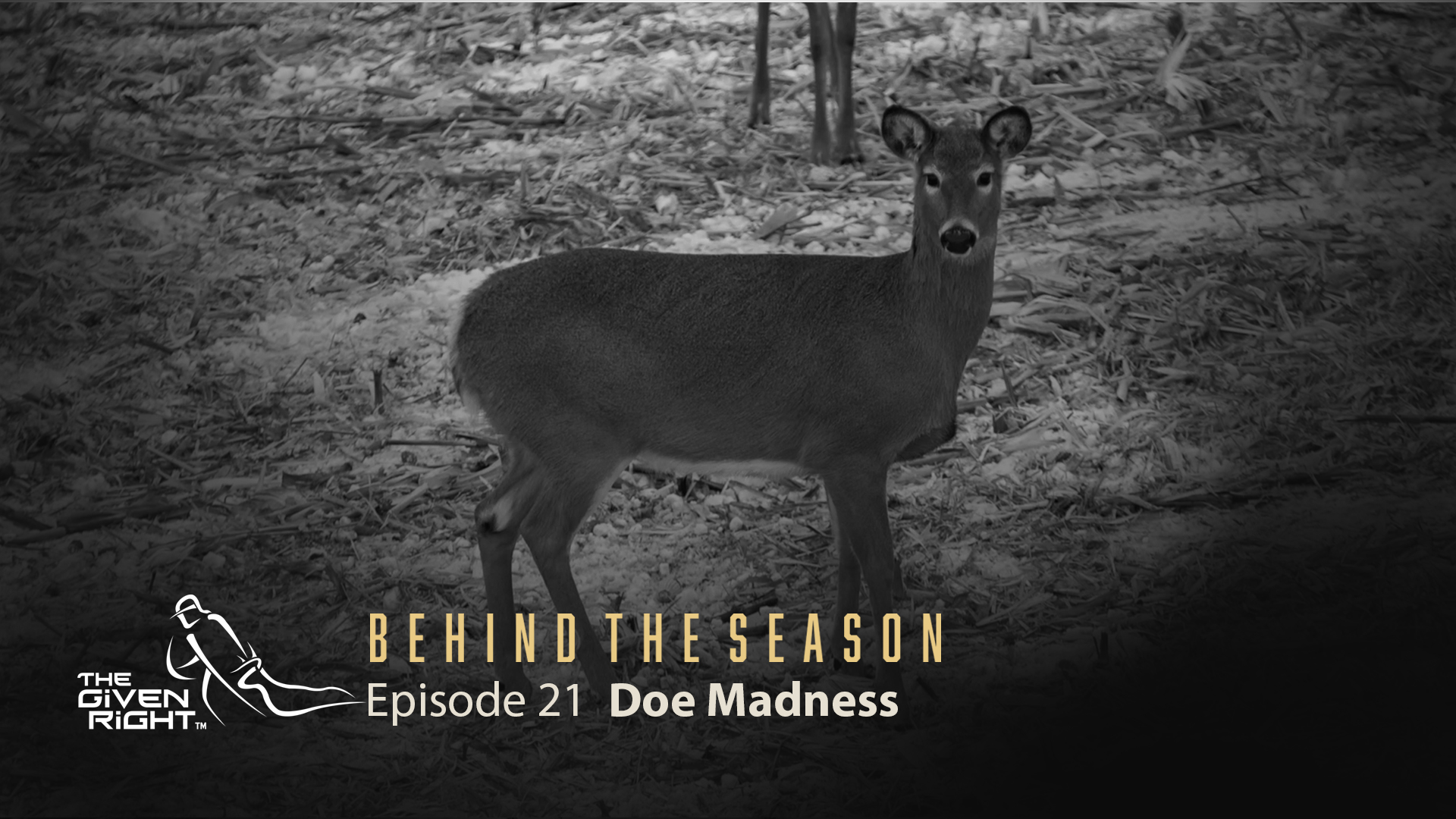 Doe Management 101 | Behind the Season (2020) | The Given Right