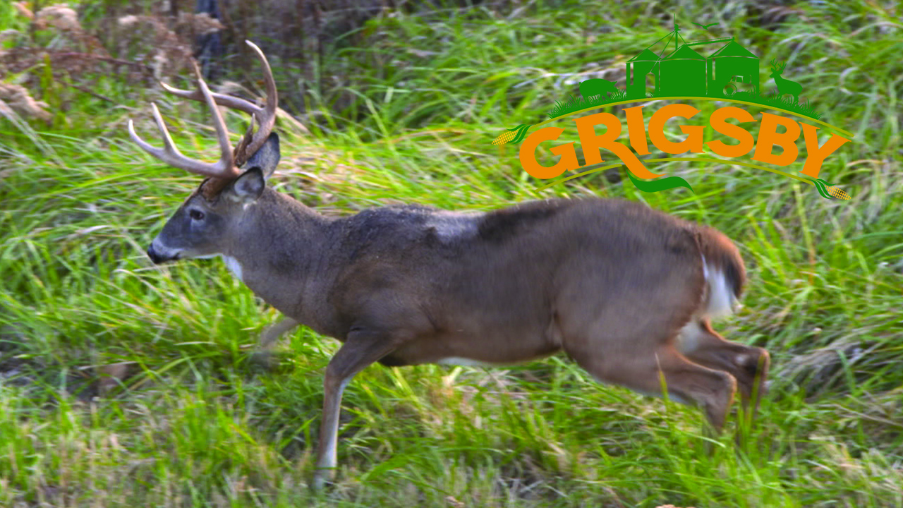 A Major Missed Opportunity | The Whitetail Rut Is in Full Swing | Grigsby