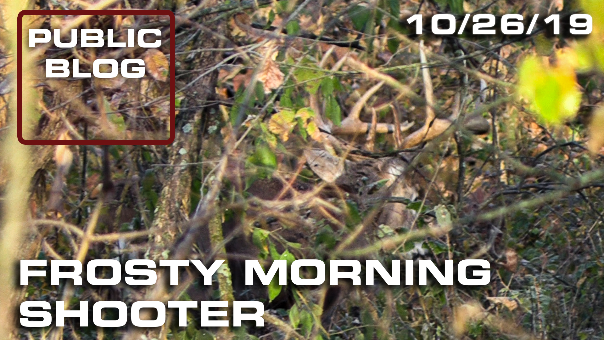 Public Land Blog | Frosty Morning Shooter 
