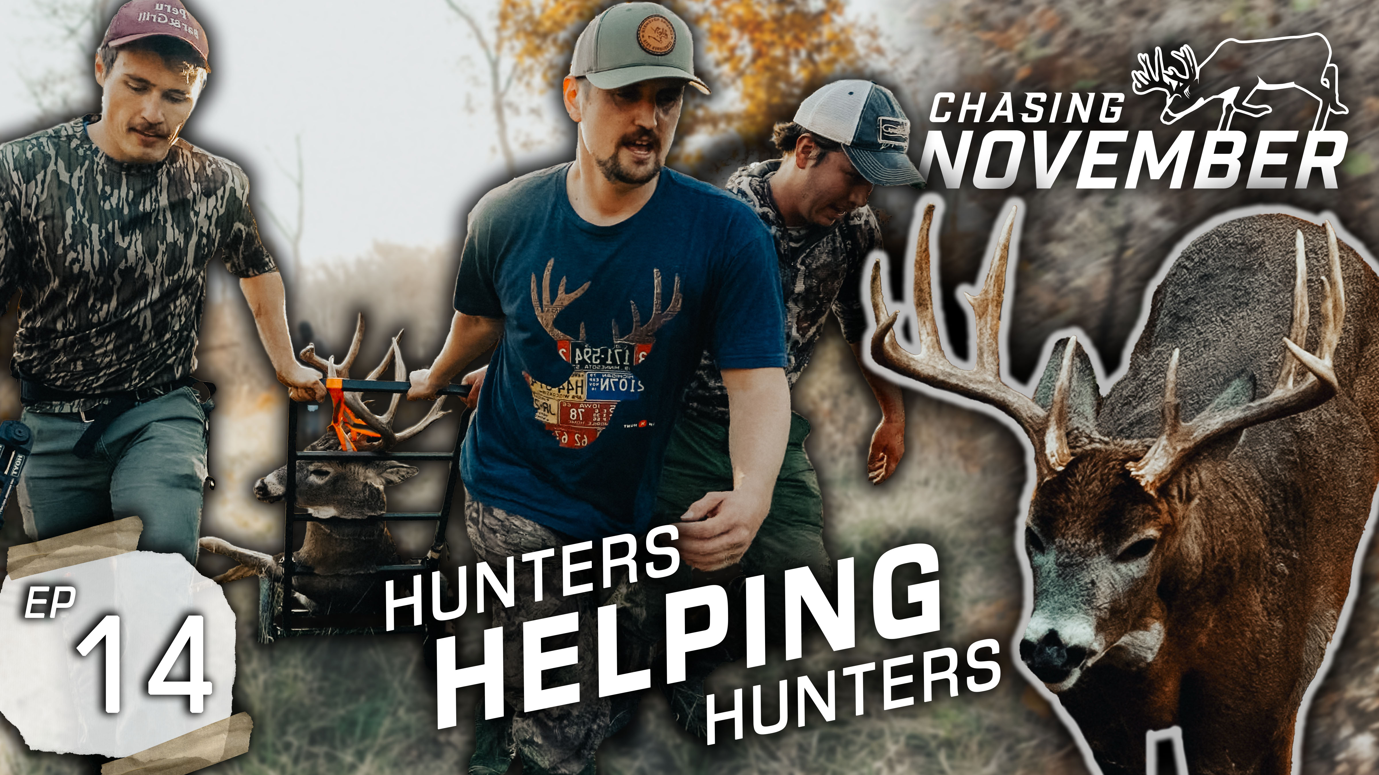 We Found Another Hunter's Public Land Buck AND Found Him! Bucks Everywhere