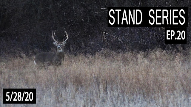 When Blinds Are Better | Bill Winke Treestand Location Series