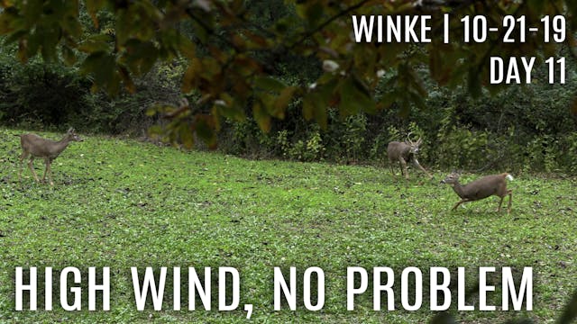 Winke Day 11: High Wind, No Problem