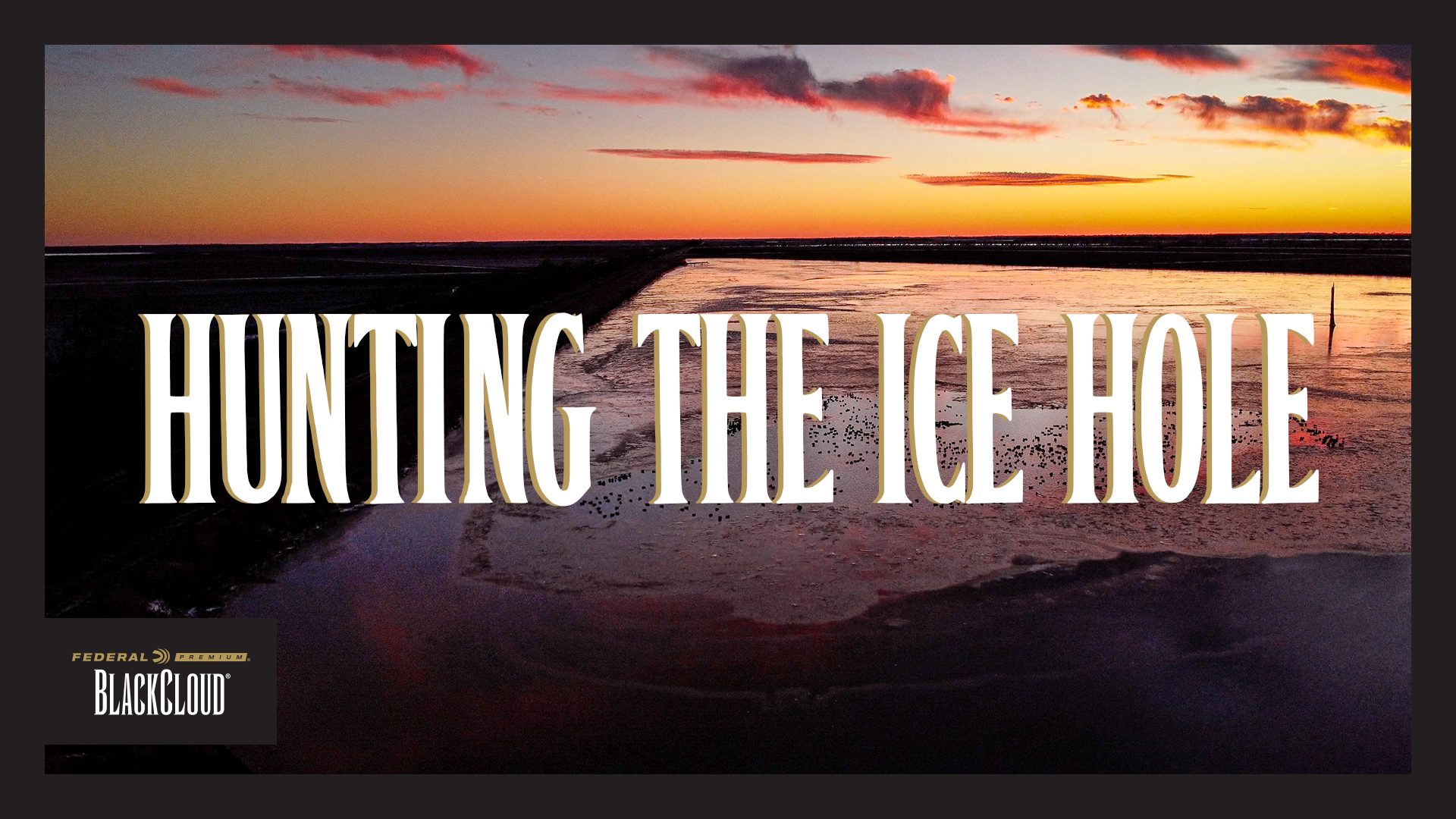 Quick Limits | Thousands of Ducks and Geese on the Water | Black Cloud