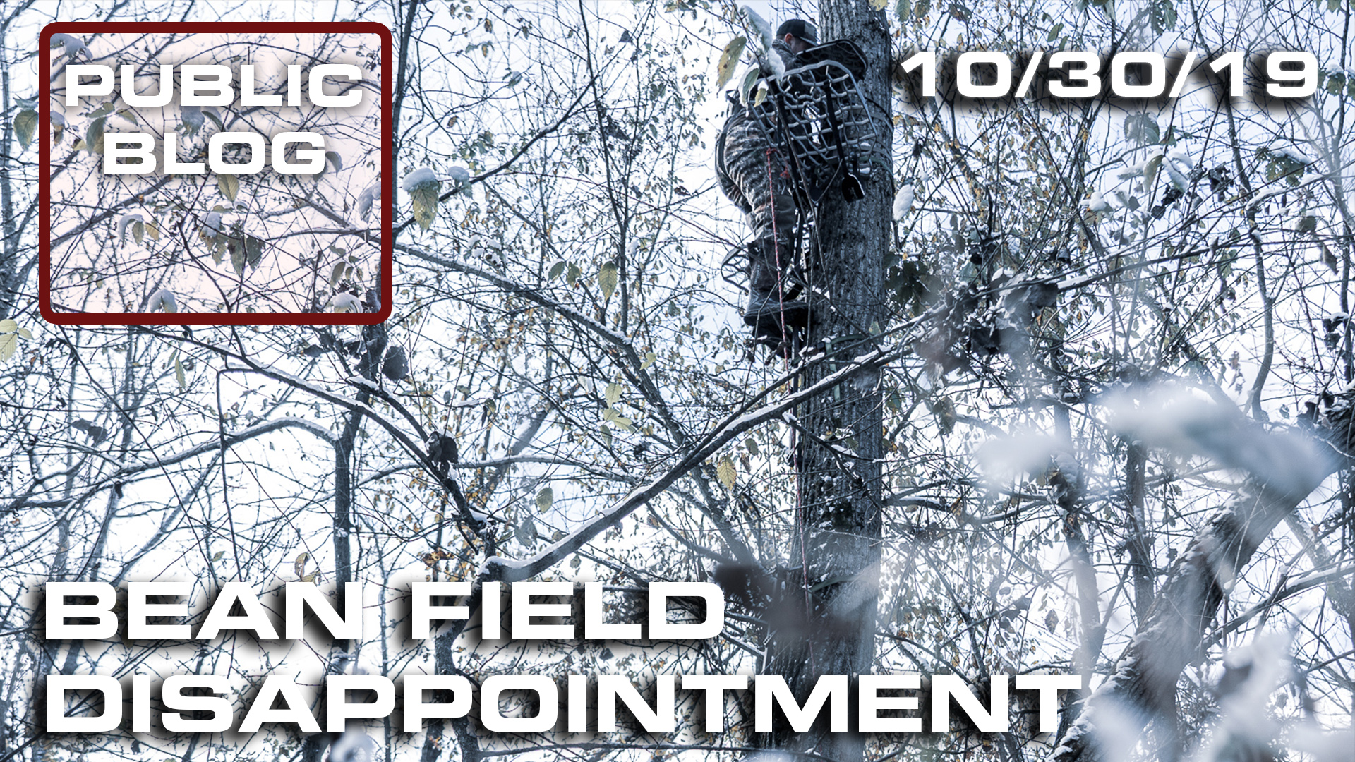 Public Land Blog | Bean Field Disappointment 