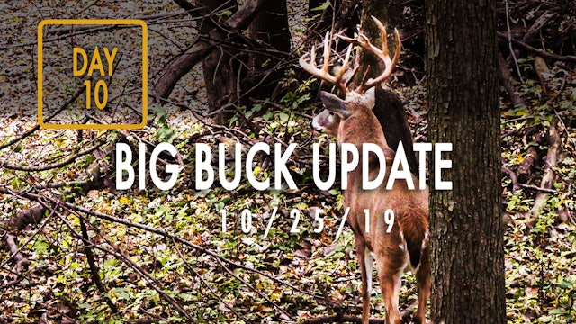 Jared Day 10: Big Buck Update, Close-Up Snort Wheeze
