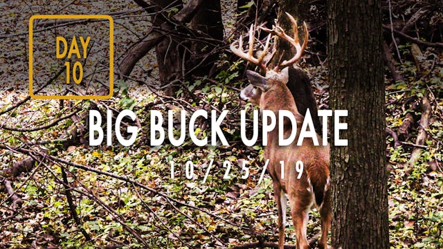 Jared Day 10: Big Buck Update, Close-...