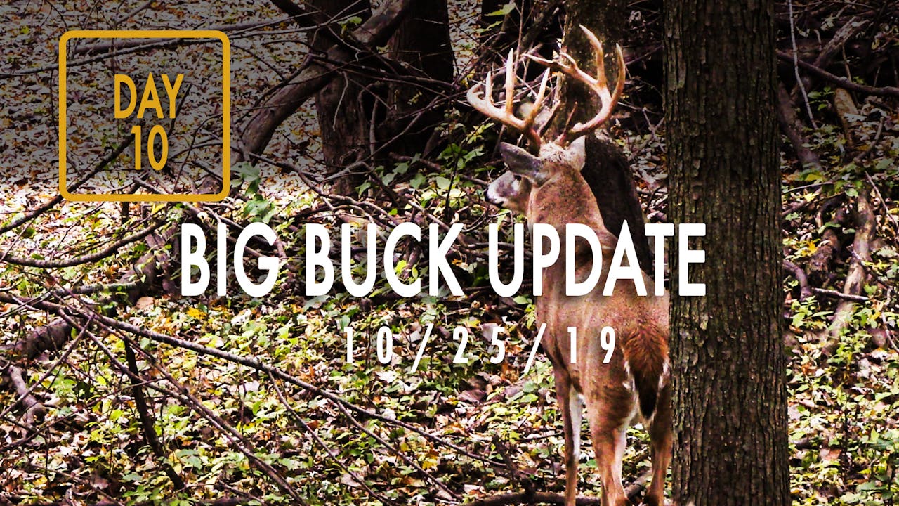 Jared Day 10: Big Buck Update, Close-Up Snort Wheeze - 2019 - Realtree 365