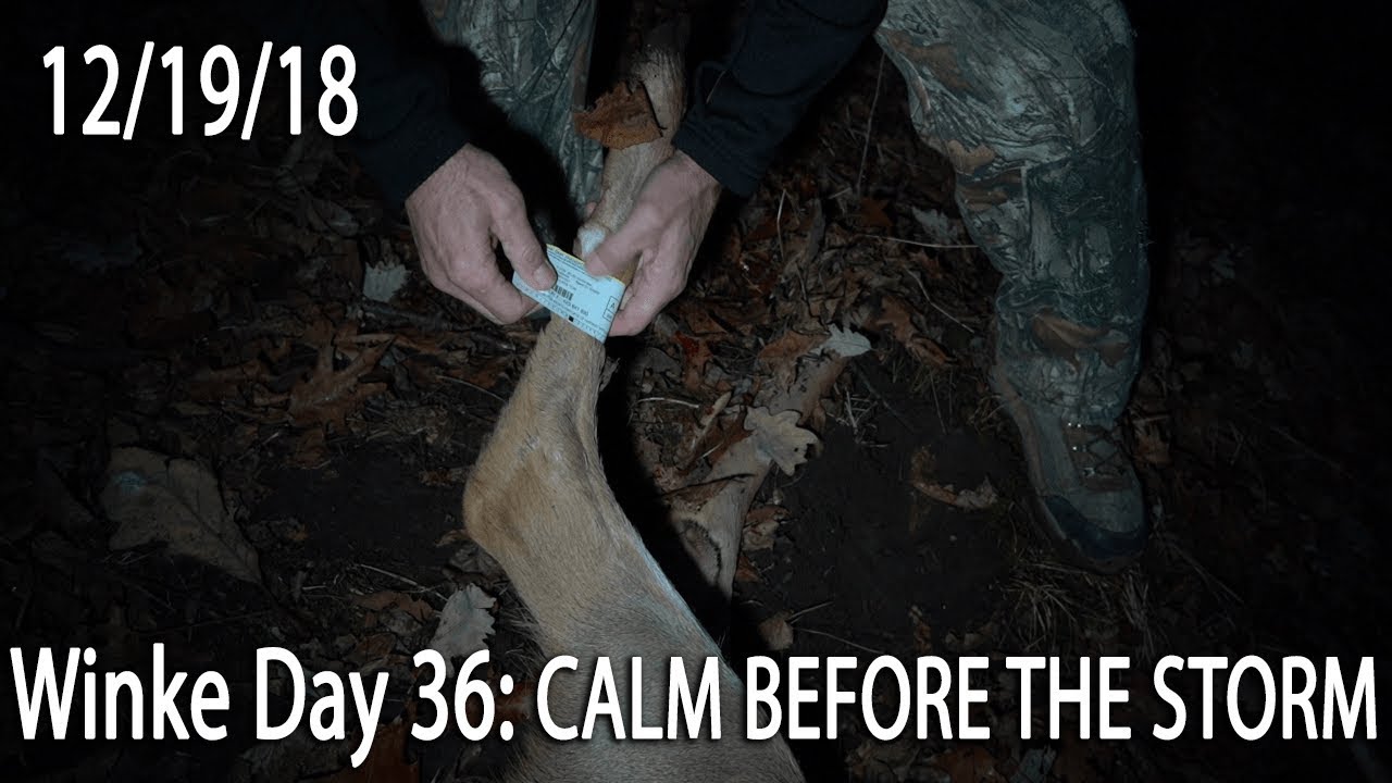 Winke Day 36: Calm Before the Storm