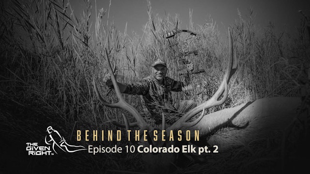 Bowhunting Colorado Elk (Part 2) | Behind the Season | The Given Right