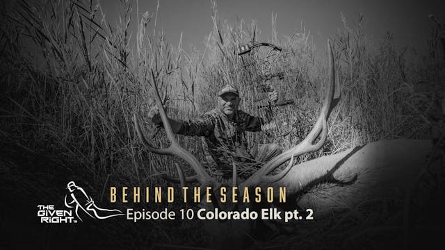 Bowhunting Colorado Elk (Part 2) | Be...