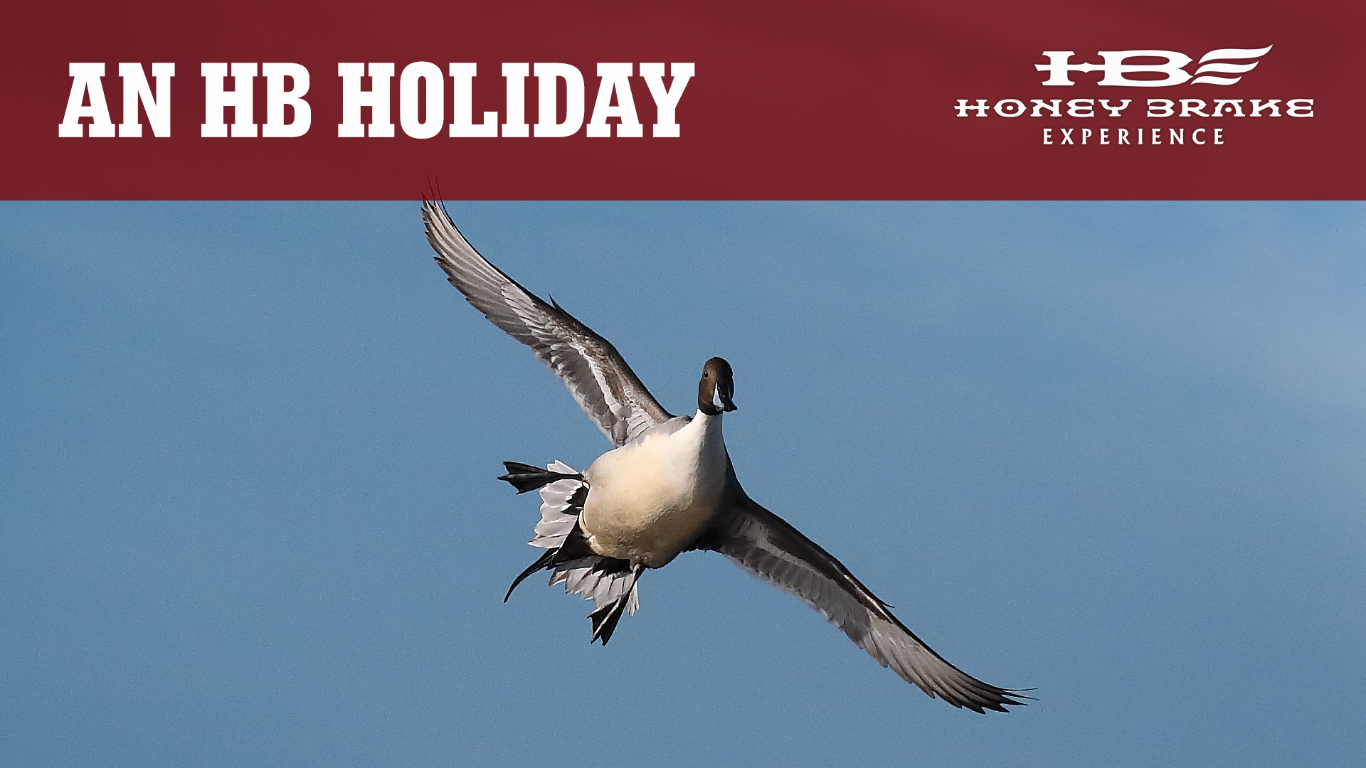 Honey Brake Holiday Fun | Duck Hunting with Family and Friends | Honey Brake