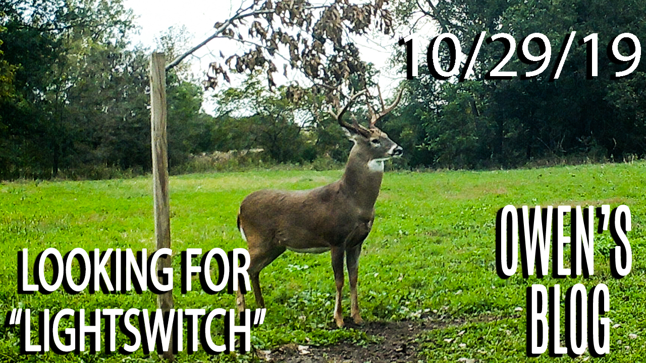 Owen's Blog: Looking For "Lightswitch"