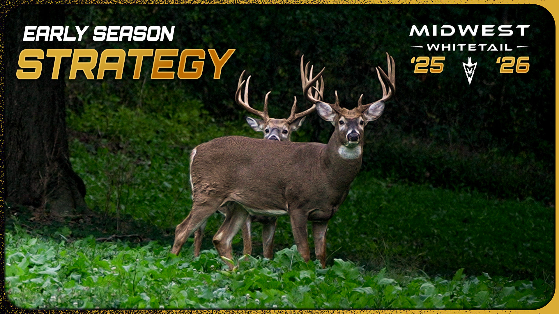 Opening Week Is Upon Us, Bucks Are Showing Up