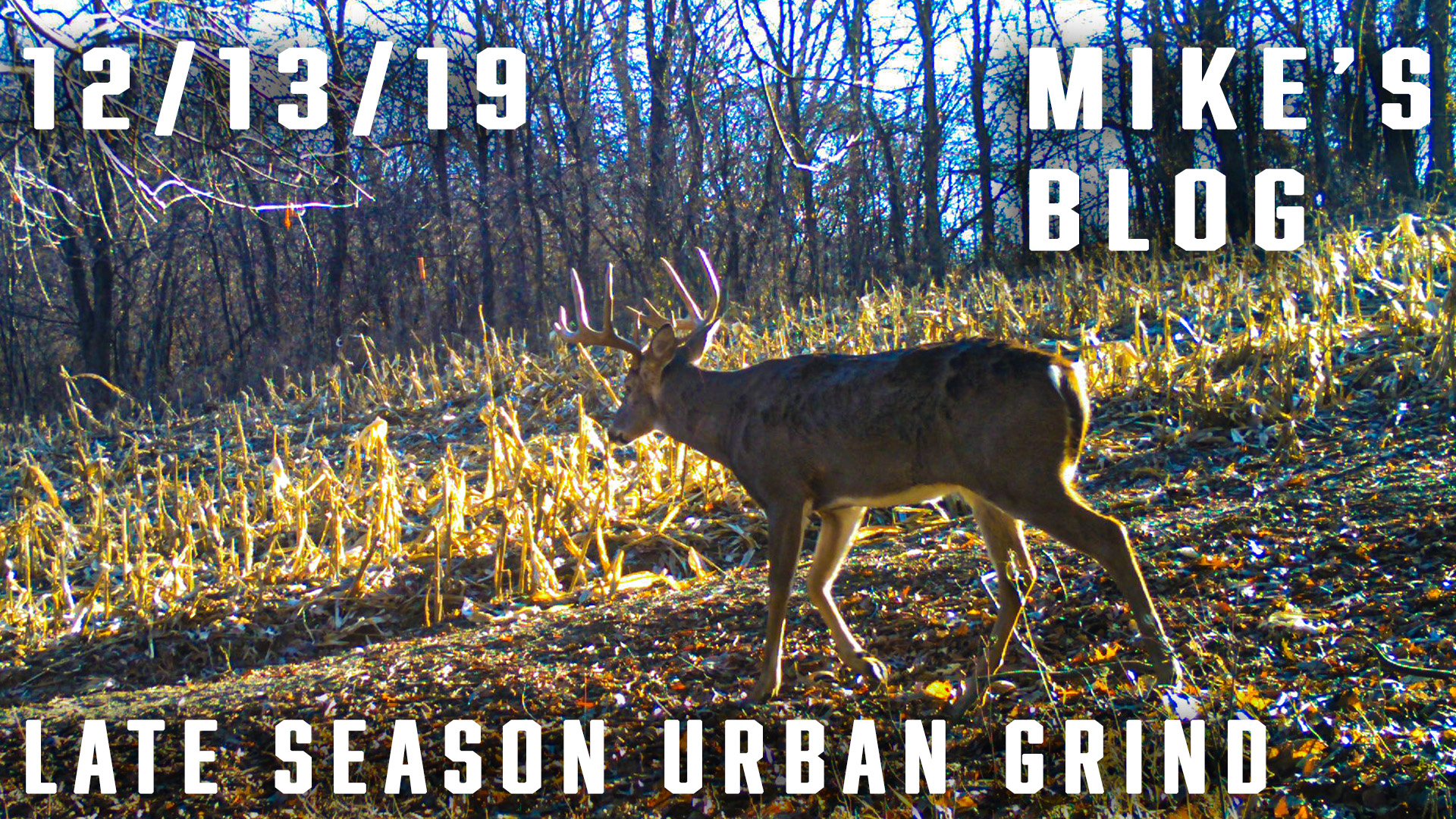 Mike's Blog: Late-Season Urban Grind