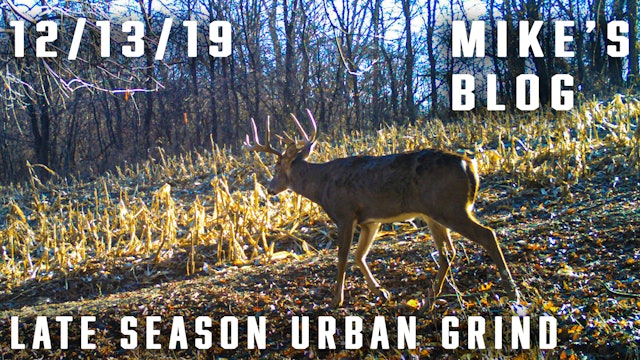 Mike's Blog: Late-Season Urban Grind