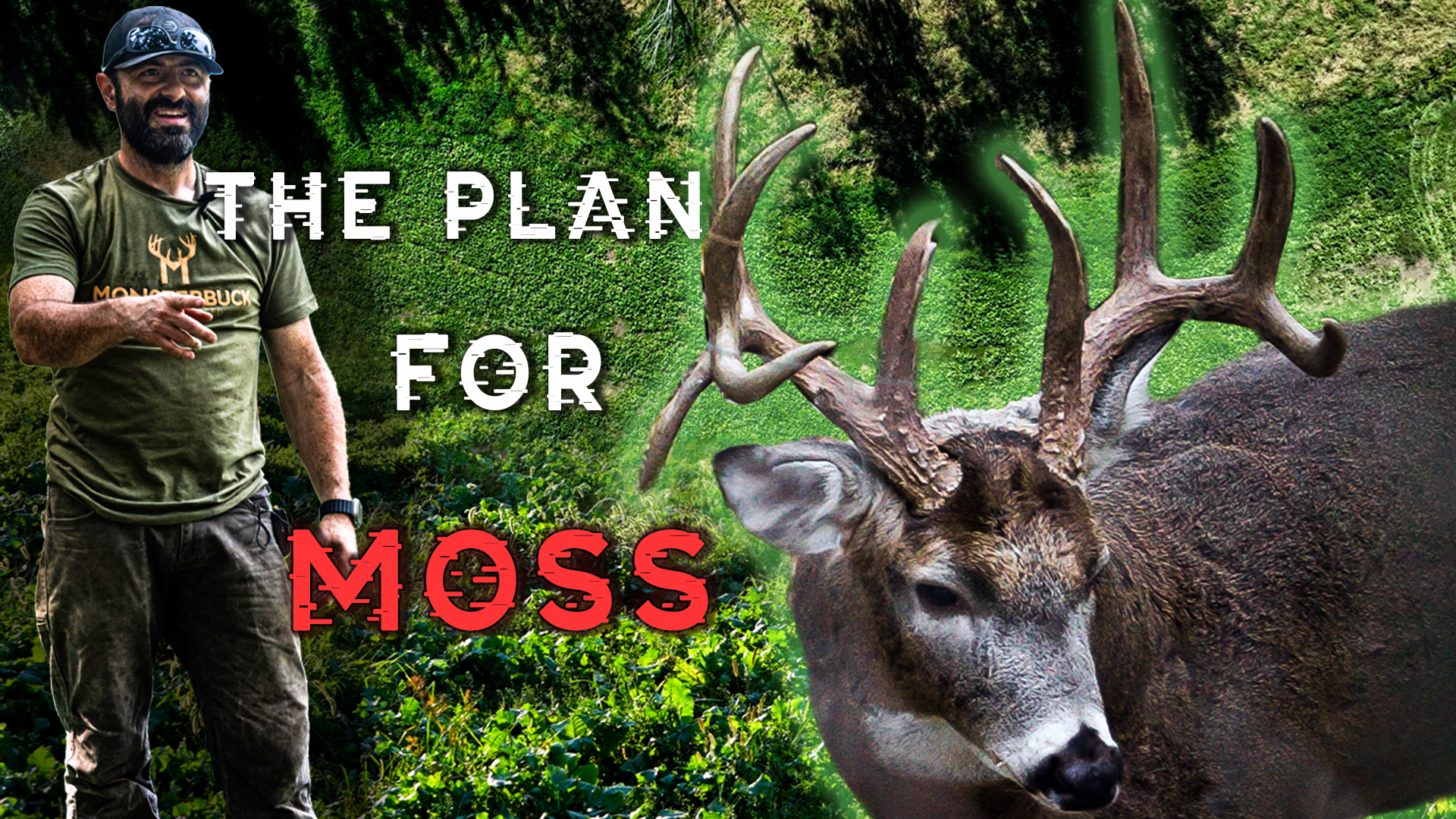 Mike's Plan To Hunt Moss, Season Bowhunting Strategies For A Successful Fall 