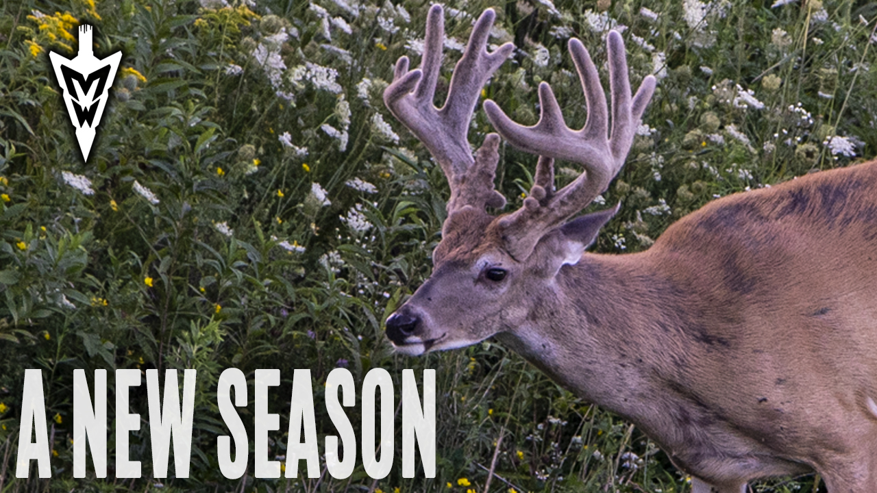 8-19-19: Big Velvet Bucks, Season Introduction | Midwest Whitetail