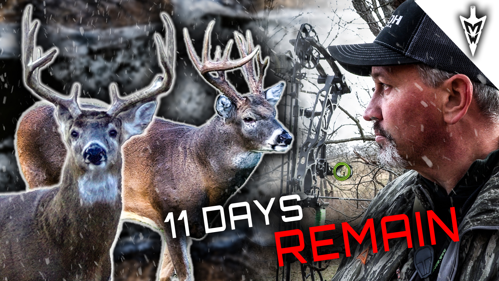 2nd Big Buck Down Of The Season, How We're Hunting The Last 11 Days