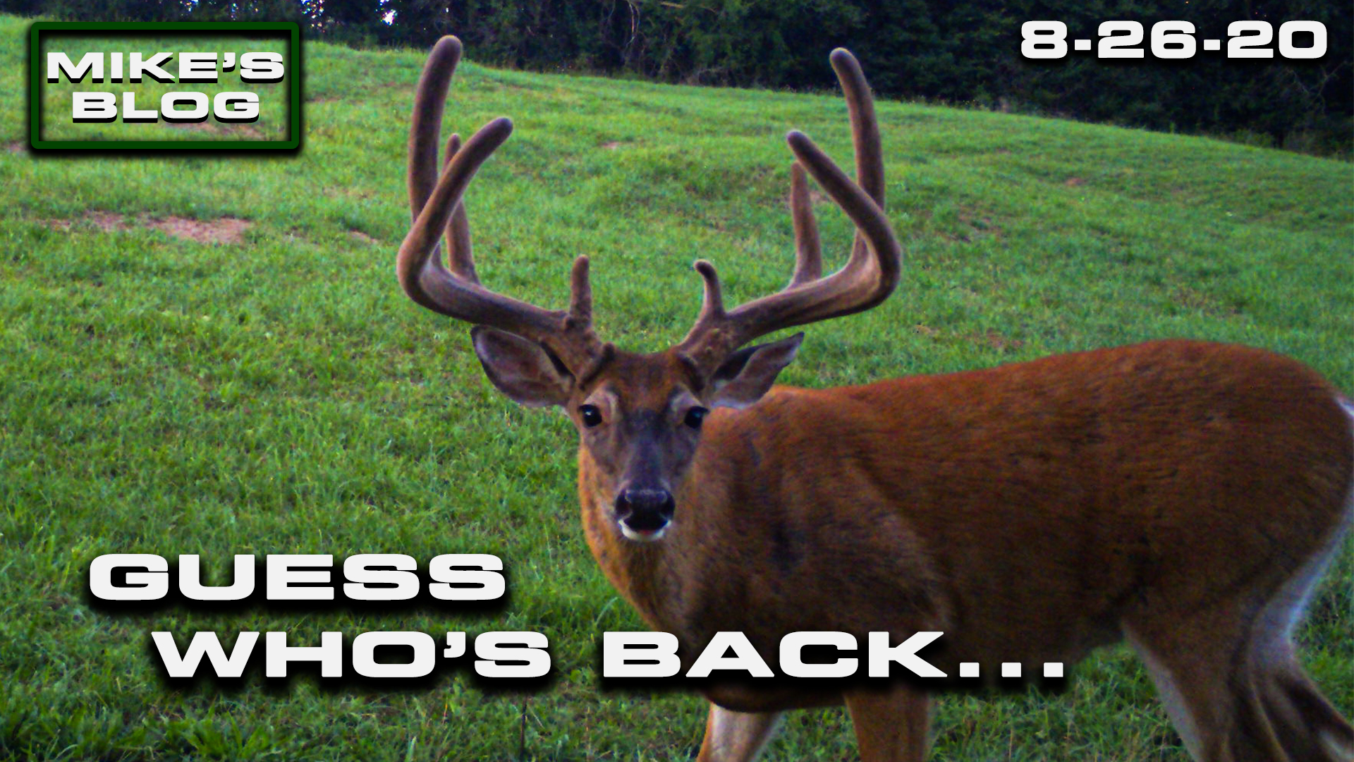 Mike's Blog: A Giant Buck Returns | Showing the Derecho Storm Aftermath