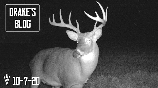 Drake's Blog: Hunting the Small Permission Farm | Observation Treestand Location
