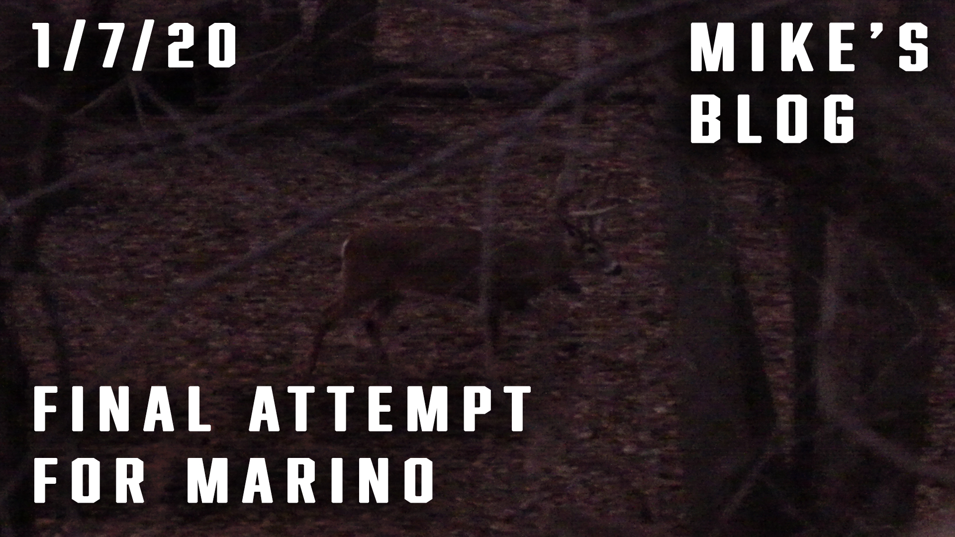 Mike's Blog: One More Try for Marino