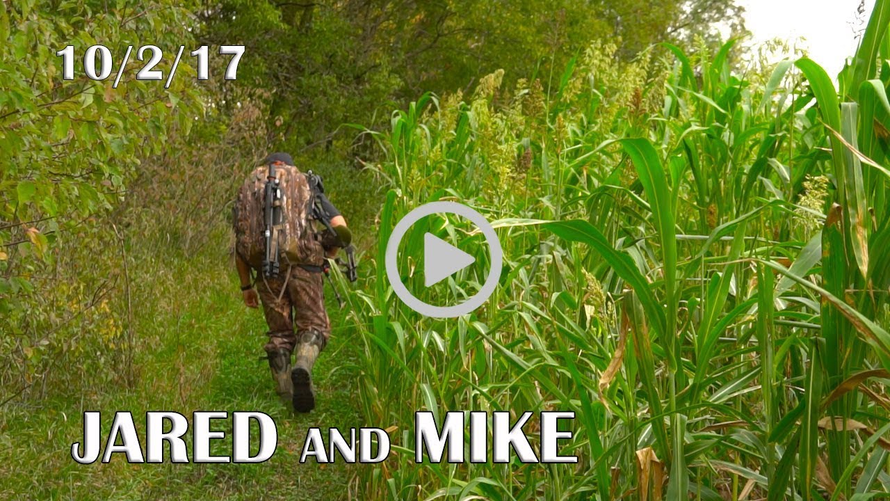 Jared's Blog: Early Season Update