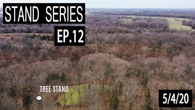 The Perfect Bow Stand | Bill Winke Treestand Location Series
