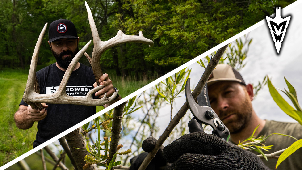 A DIY Deer Cover Experiment, The Game Plan for "Dak" | Midwest Whitetail