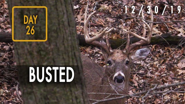 Jared Day 26: Close Call, Too Many Deer