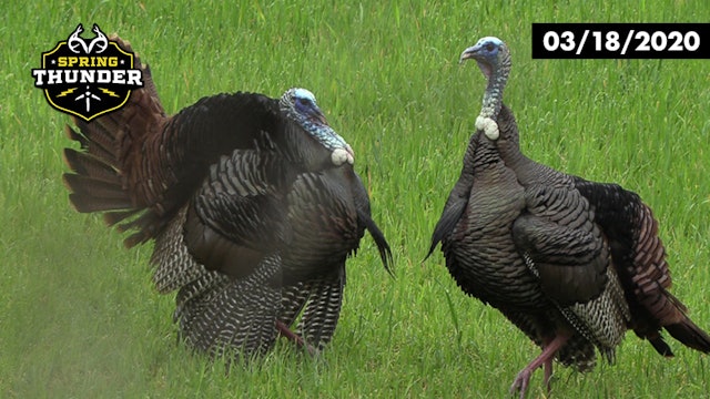 Father-Son Turkey Hunting | MLB Pitcher Ben McDonald | Realtree Spring Thunder
