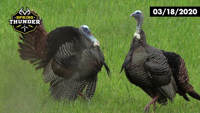 Father-Son Turkey Hunting | MLB Pitch...