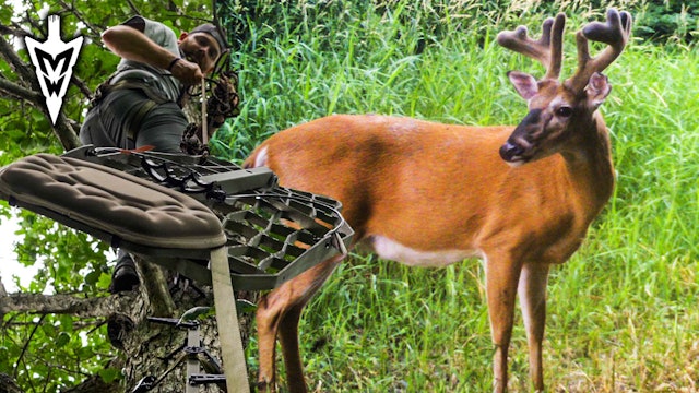 First River Farm Card Pull, Save Money On USA Treestands | Midwest Whitetail
