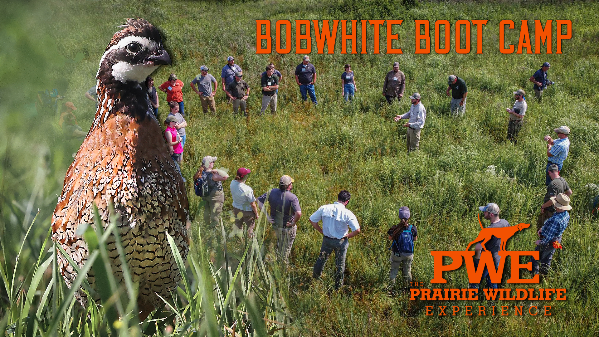 Bobwhite Boot Camp | Managing Land | Prairie Wildlife Experience