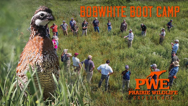 Bobwhite Boot Camp | Managing Land | Prairie Wildlife Experience