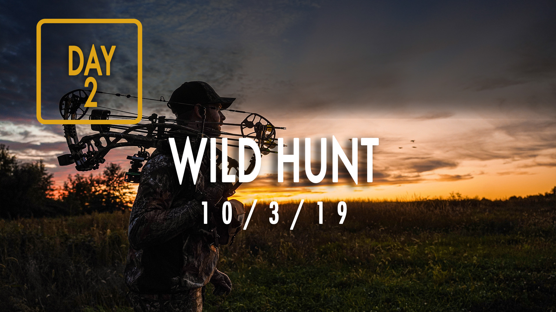 Jared Day 2: A Wild First Encounter