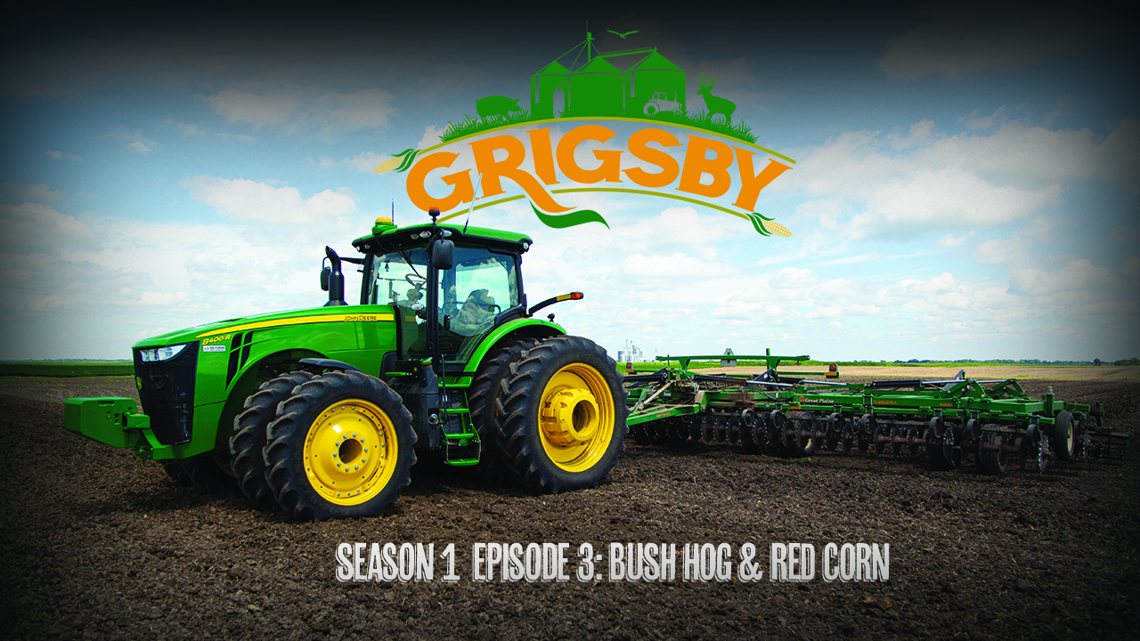 Plot Maintenance, A Near Tractor Wreck, and Red Corn Update