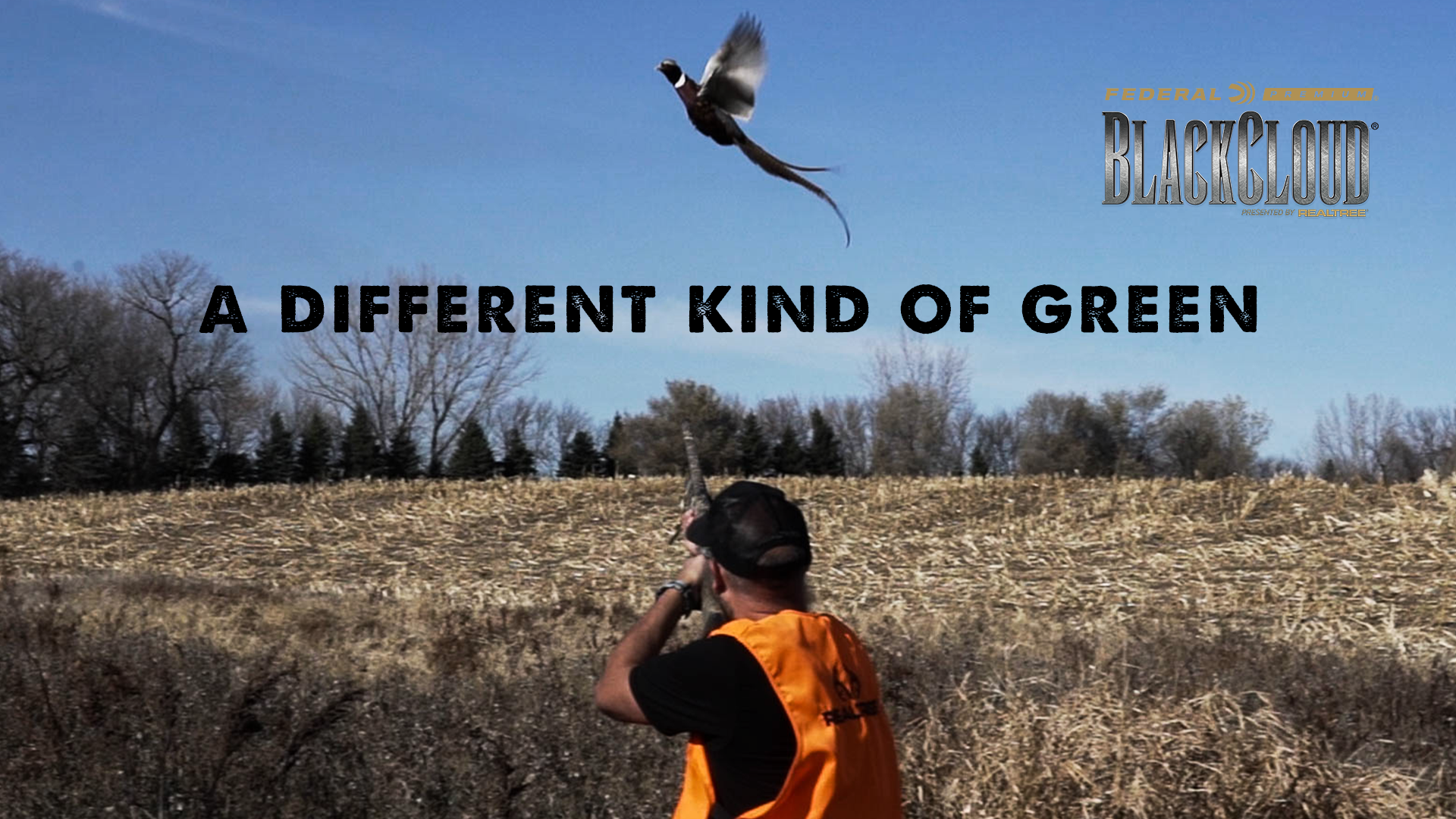 A Different Kind of Green | South Dakota Upland Bird Hunting | Black Cloud