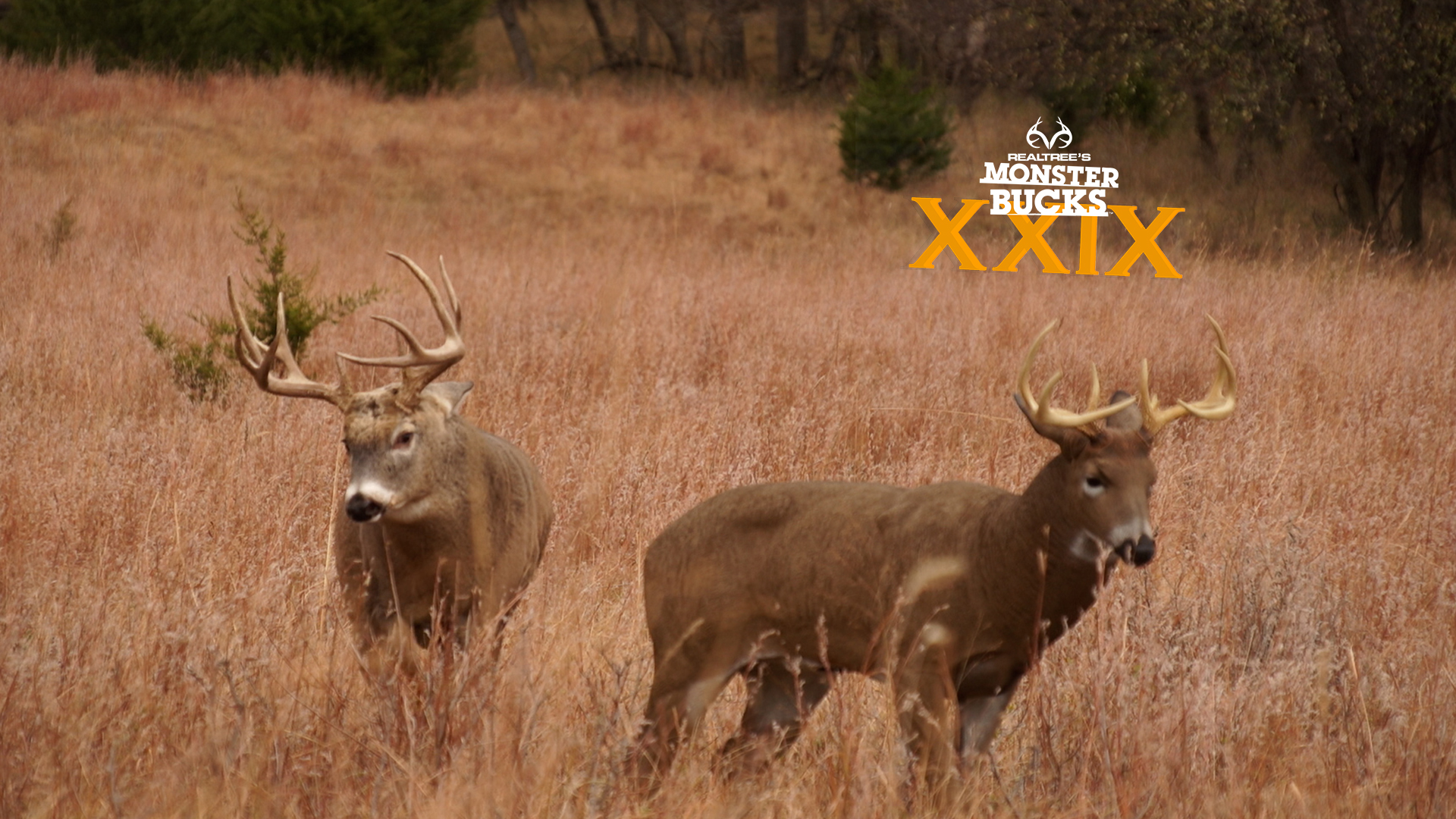 Larry McCoy Decoys in a Kansas Monster | Monster Bucks 2021