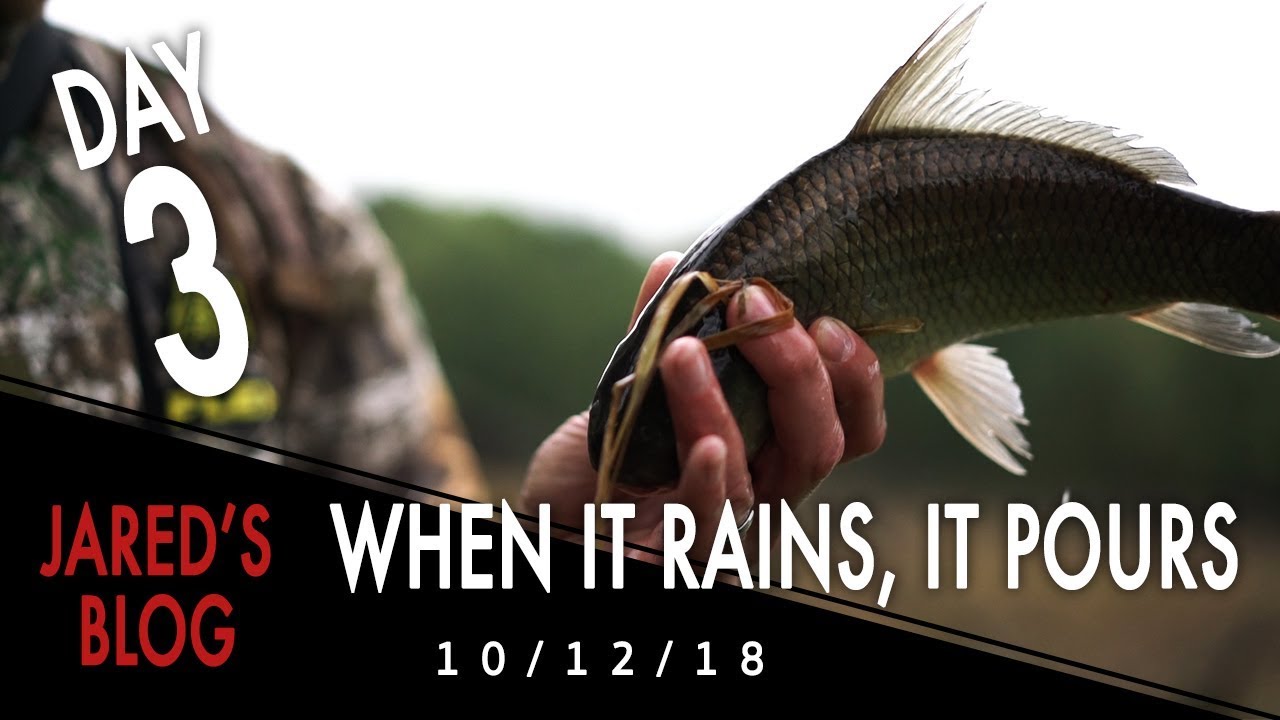 Jared's Blog: When it Rains it Pours - Flooded Farms