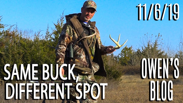 Owen's Blog | Same Deer, Different Spot