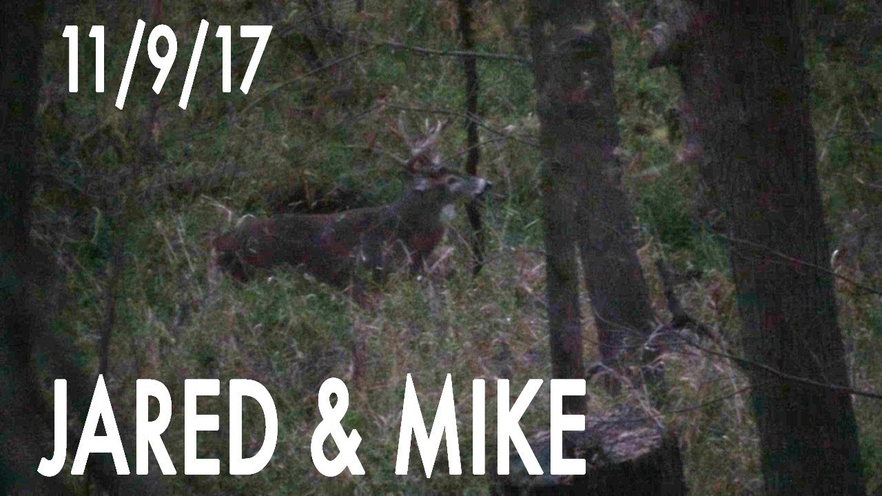 Jared's Blog: Hot Doe Flurry, Buck Named JJ