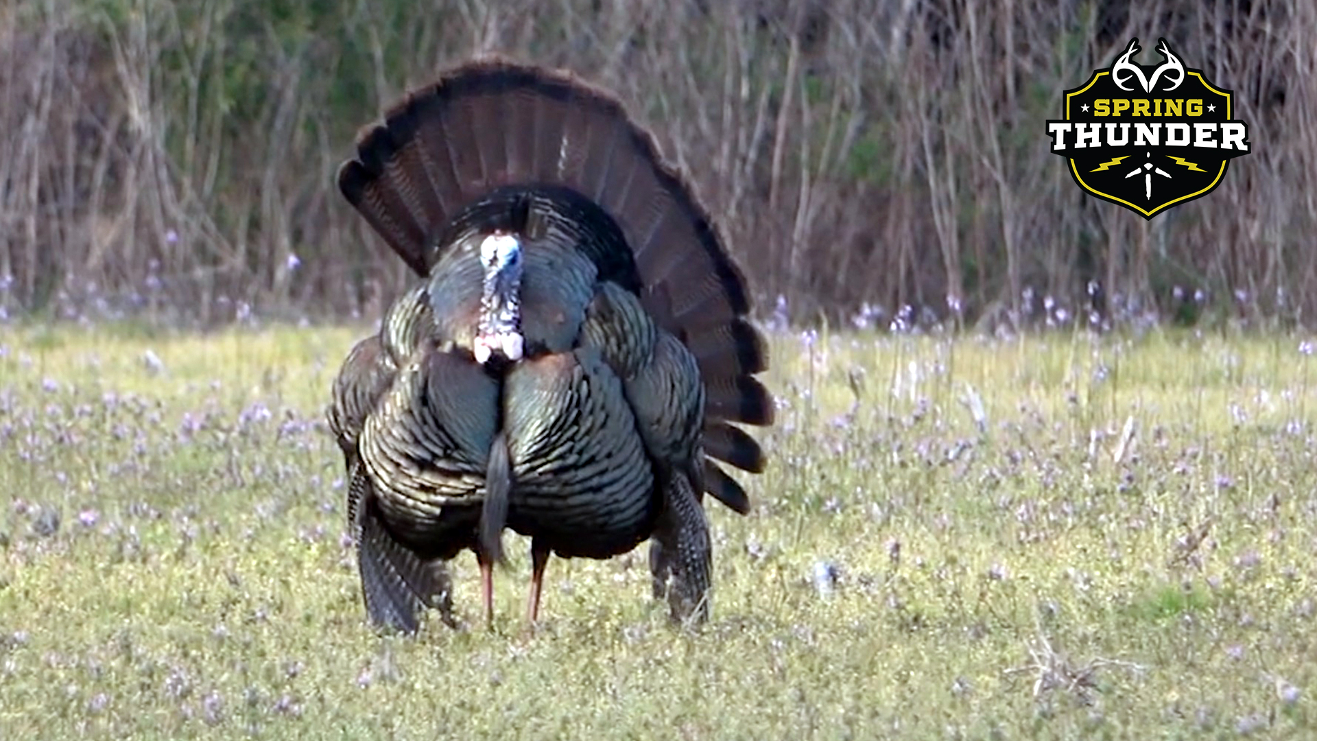 A Trip Down Memory Lane | Georgia Youth Turkey Season | Spring Thunder