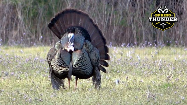 A Trip Down Memory Lane | Georgia You...