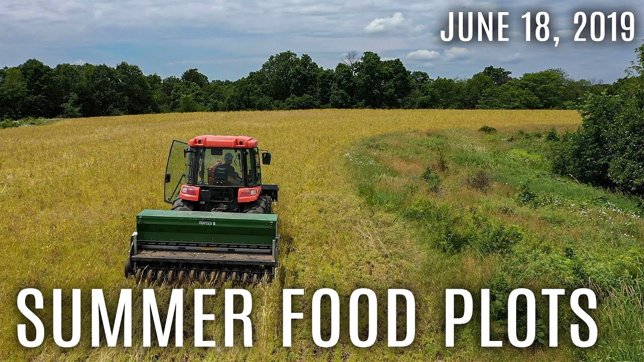 Winke's Blog: Wrapping Up Summer Planting